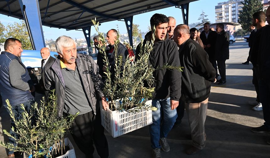 Kadirli ilçesinde üreticilere 10 bin 500 zeytin fidanı dağıtıldı