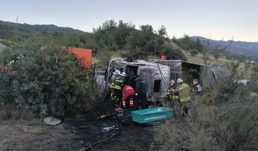Hatay’da Facia Gibi Kaza: Tır Yandı, Anguslar Otobana Saçıldı