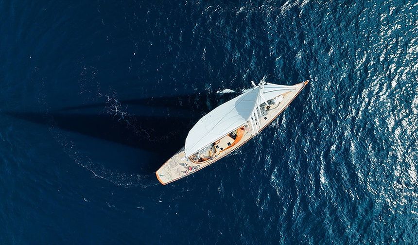 Orkaların yelkenlilerle etkileşimi genç bireylerin merak ve öğrenme davranışı olabilir