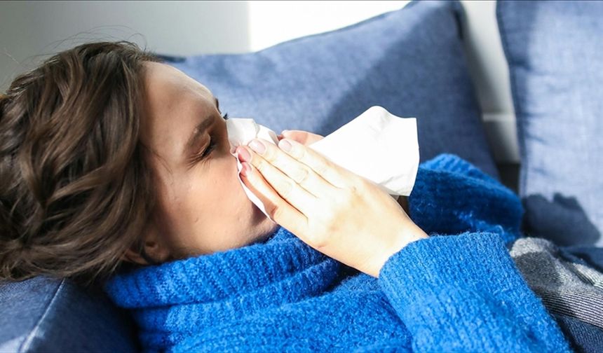 Sağlık Bakanlığı, mutasyona uğramış gribin Türkiye için endişe oluşturmadığını açıkladı