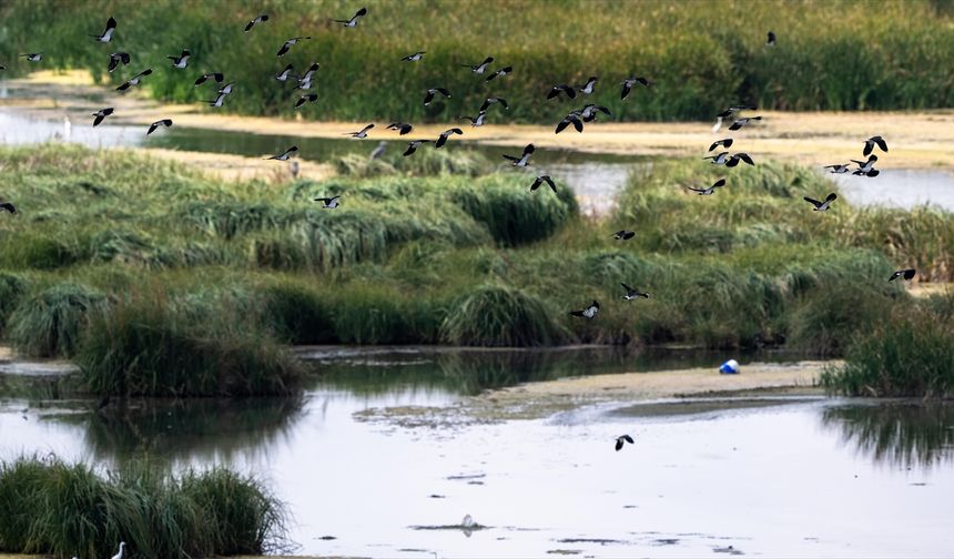Türkiye'nin doğal sit alanı büyüklüğü 28 bin 907 kilometrekareye ulaştı
