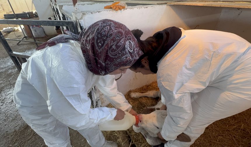 Üniversitenin uygulama çiftliği öğrencilere sahada eğitim imkanı sunuyor