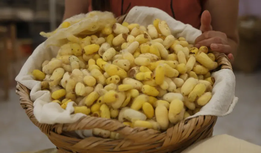 Tescilli Hatay Sarısı’nı Yaşatan Emel Duman’a “Yaşayan İnsan Hazinesi” Ödülü