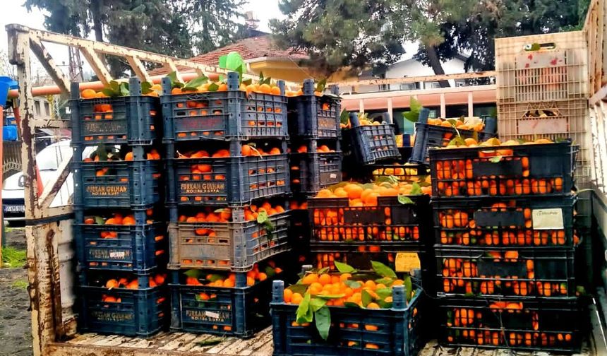 Alaçatı’dan Hatay’a Dayanışma Köprüsü : Umut Taşındı !