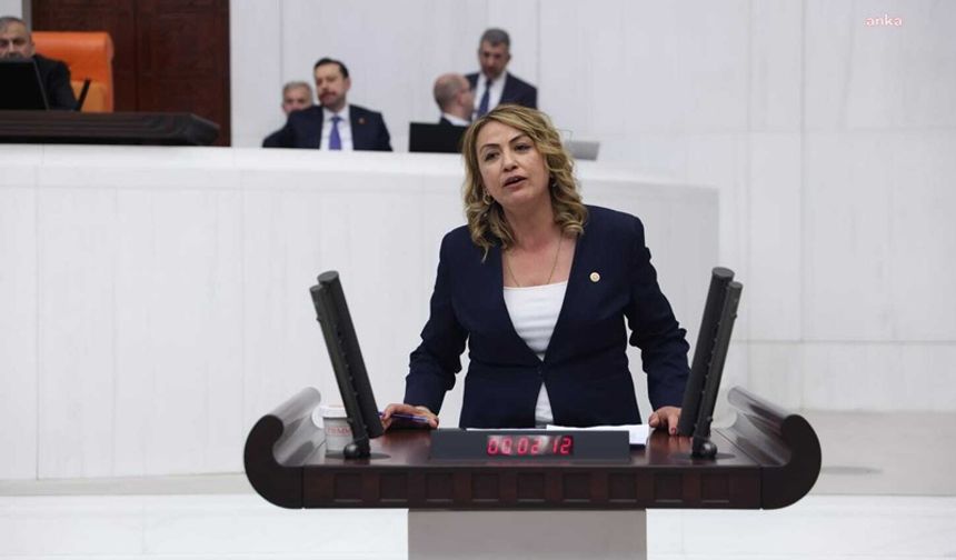 "Sorunlar Artmaya Devam Ediyor, Sanayi Sitesi Nerede Kurulacak?"