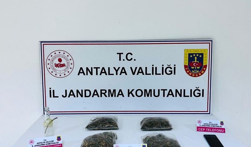 Serik'te uyuşturucu operasyonu