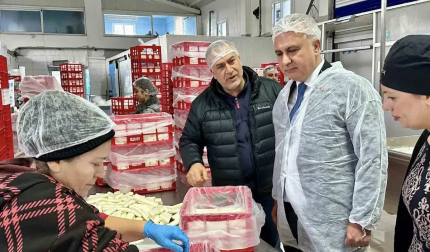 Antakya’da Süt Ürünleri Üreten Firma İncelendi
