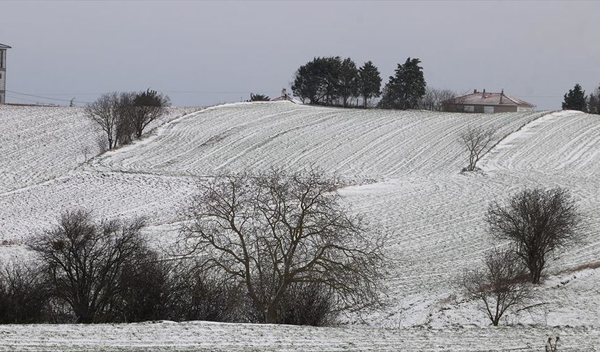 Trakya'da kar yağışı tarım arazilerine can suyu oldu