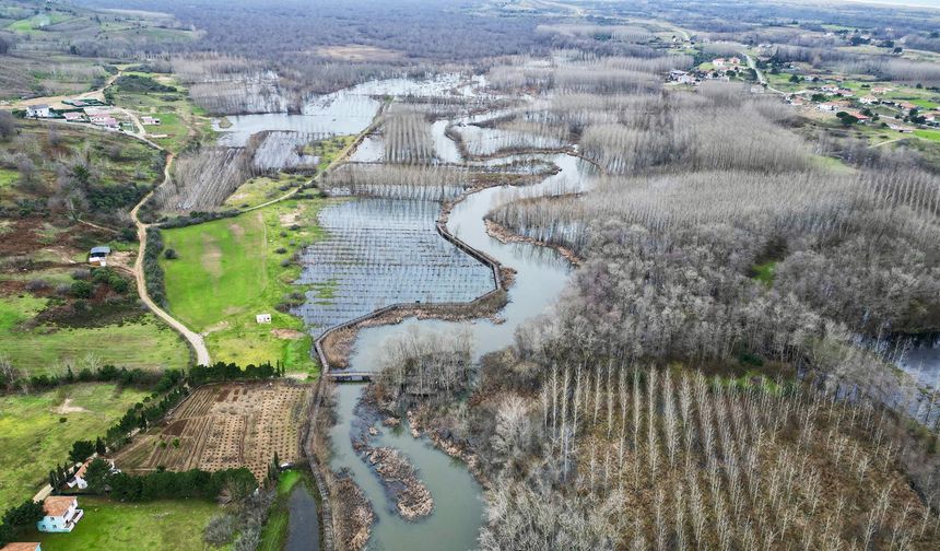 Acarlar Longozu değişken su seviyesine uyum sağlayan bitkilere ve hayvanlara yuva oluyor