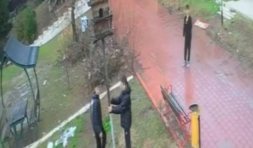 Adana'da parktaki kuş yuvasını parçaladılar