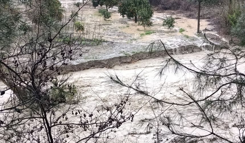 Adana'nın kuzey ilçelerinde sağanak taşkınlara neden oldu