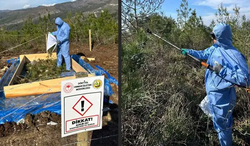 Hatay'da 279 Hektar Ormanlık Alan İlaçlanıyor