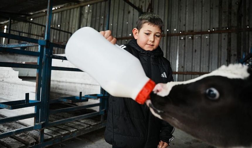 Çanakkale'de veteriner hekim yapay zeka destekli süt çiftliği kurdu