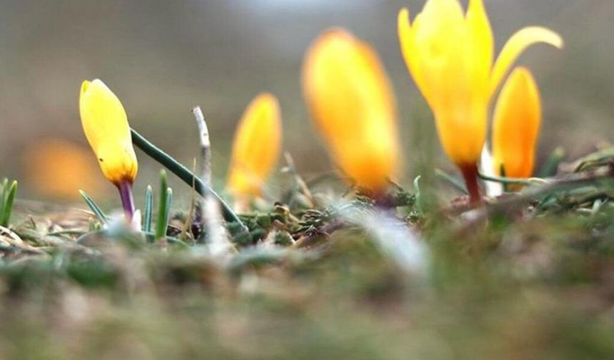 İkinci Cemre Suya Düştü: Bahar Kapıda !