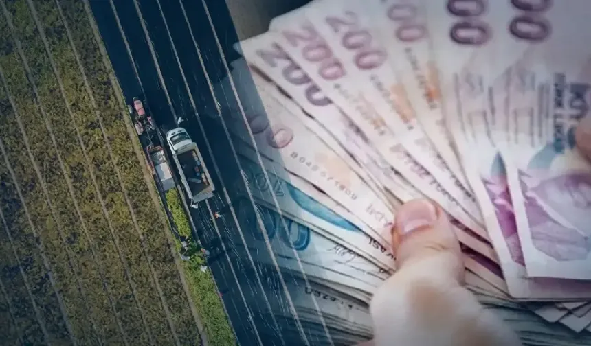 5 Soruda Tarıma Yönelik Hazine Destekli Yatırım Ve İşletme Kredileri