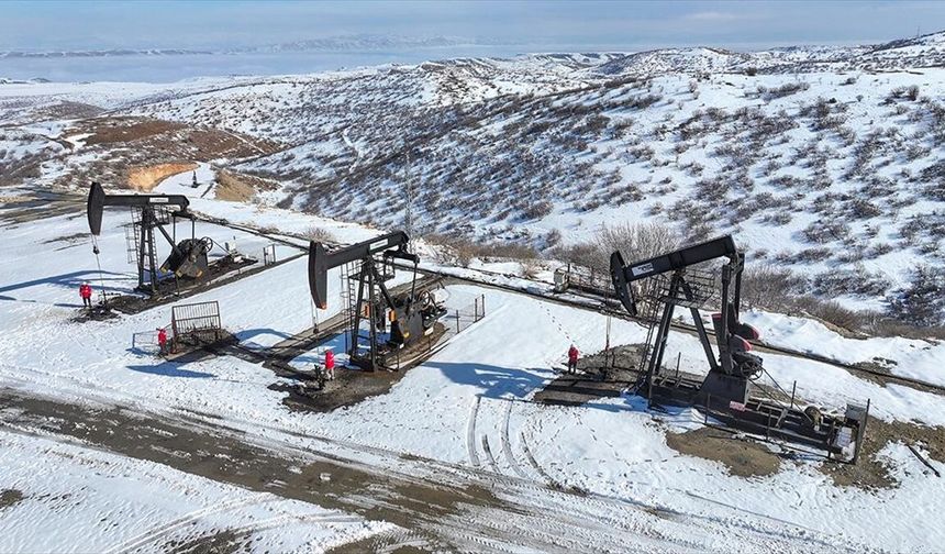 Güneydoğu'daki 4 il Türkiye'nin ham petrol üretiminin yüzde 28'ini karşılıyor