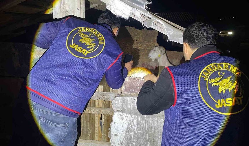 Jandarma kayıp 5 koyun için 3 iş yeri ve 9 meskene ait toplam 24 saatlik güvenlik kamerasını saniye saniye inceledi
