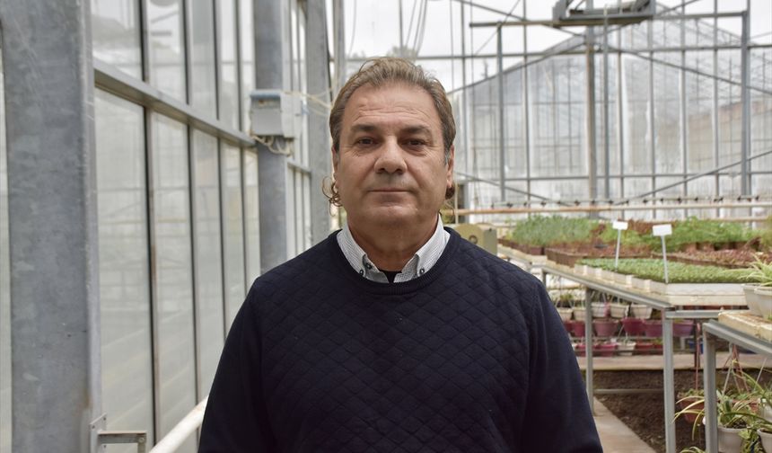 'Seralarda şeffaf panellerle enerji tasarrufu sağlanabilir' önerisi