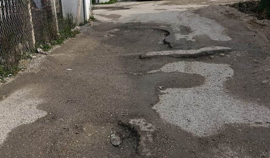 Şükrü Kanatlı Ve Özyeğin Konteyner Kentleri Acil Çözüm Bekliyor !