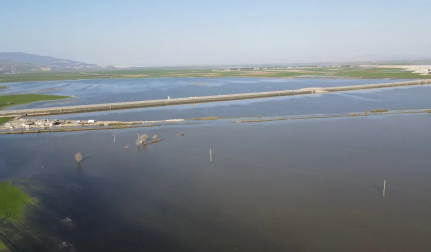 Amik Havzası İçin Acil Eylem Planı Talebi !