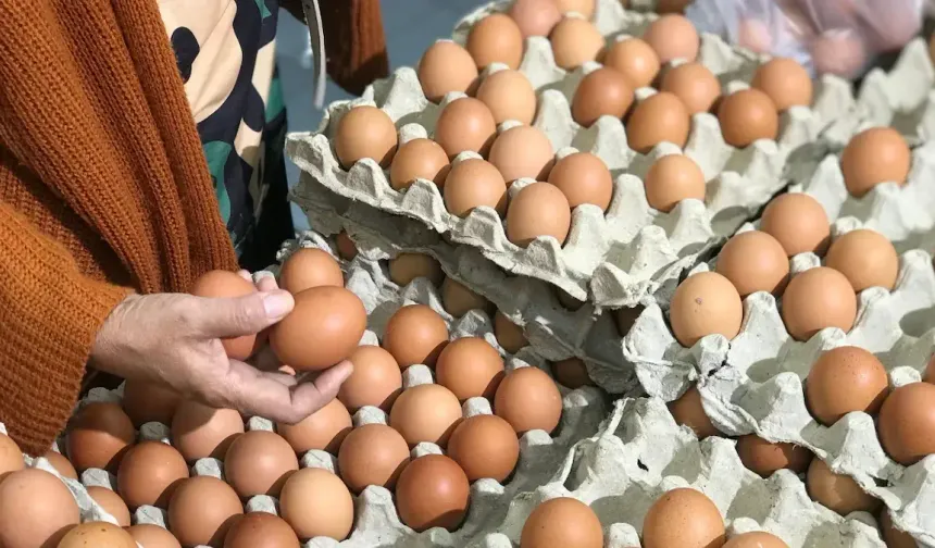 Yumurtada Yeni Dönem: Artık Satılmayacak!