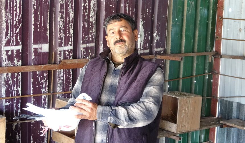 Kuzeninin Verdiği Bir Güvercinle Başlayan Tutku 45 Yıldır Sürüyor