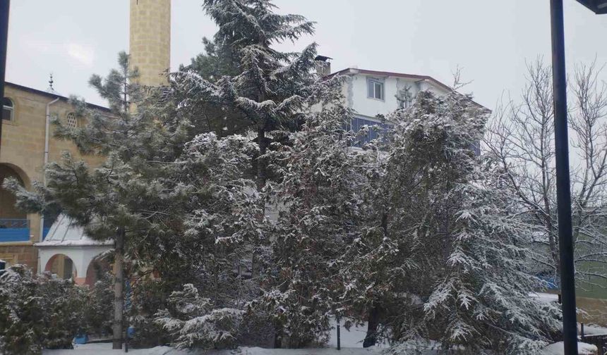 Adana'da Kar Sürprizi