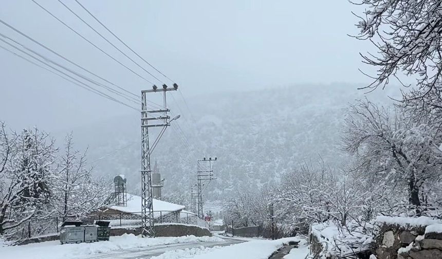 Mart Ayında Adana'da Kar Yağışı