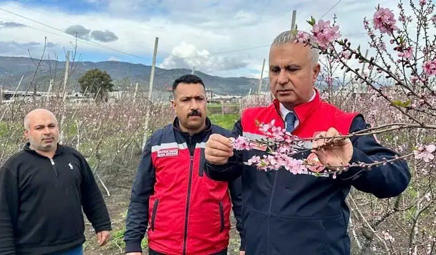 Hatay’a Bahar Erken Geldi