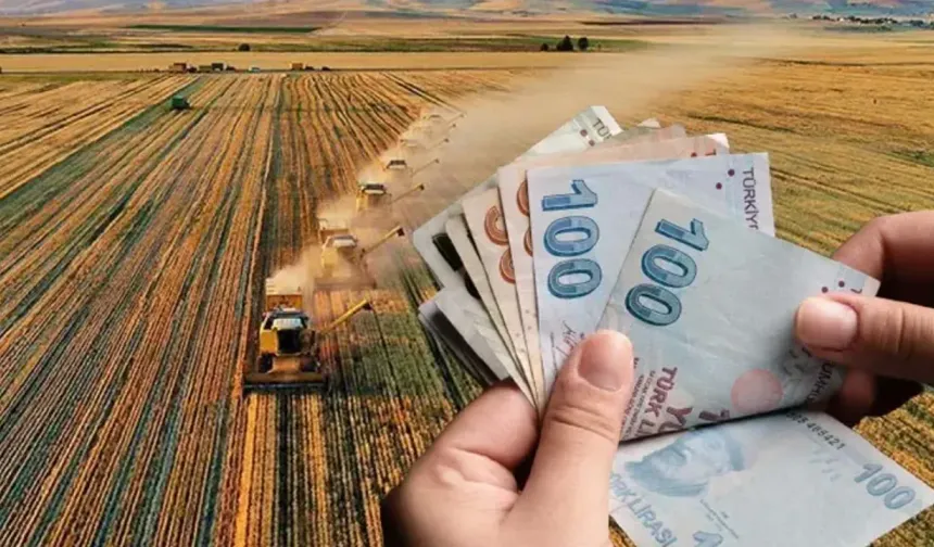 Tarım Arazileri İçin Büyük Teşvik: Hataylı Üreticiye Hibe Fırsatı!
