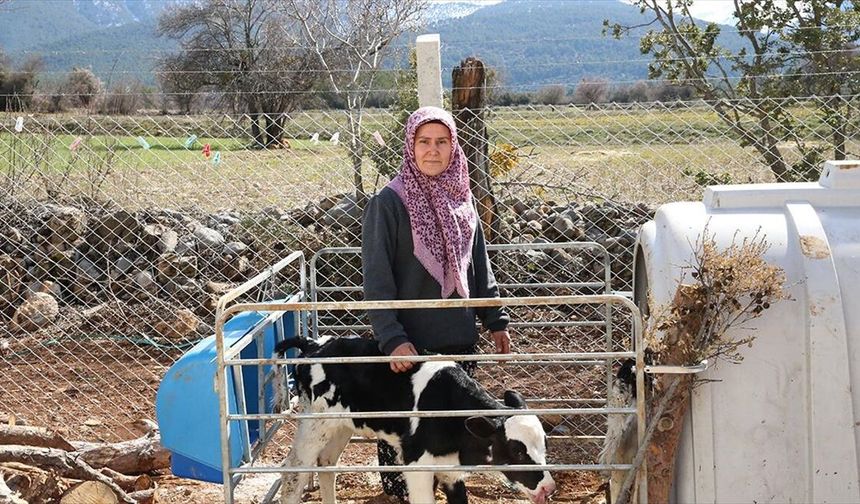 Denizli'de kadın girişimci devlet desteğiyle hayal ettiği çiftliği kurdu