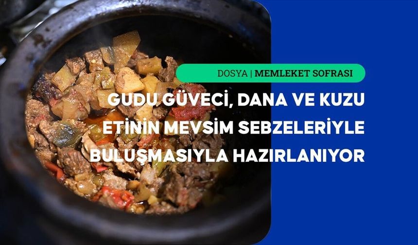 Gudu güveci