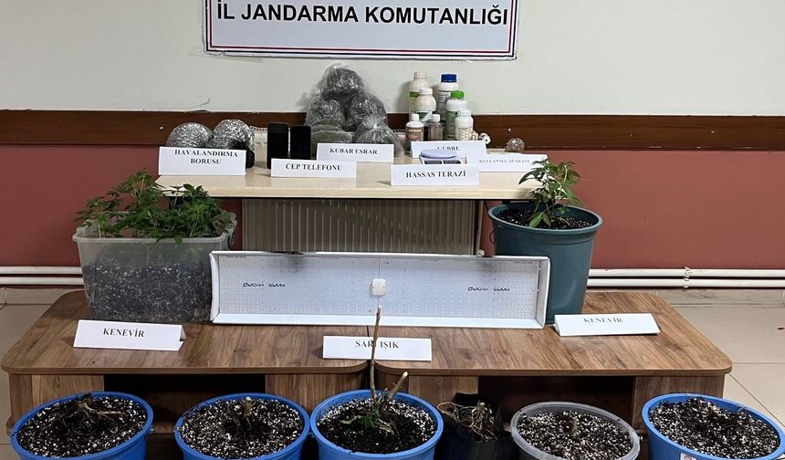 Hatay'da evde uyuşturucu yetiştirdikleri iddiasıyla yakalanan 2 zanlıdan 1'i tutuklandı
