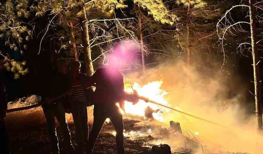 Hatay'da Ormanlık Alanda Korkutan Yangın