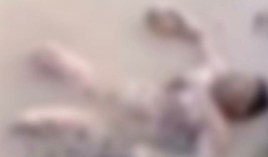 Hatay Havalimanı Yakınında Bulunan Erkek Cesedinin Kimliği Belli Oldu !