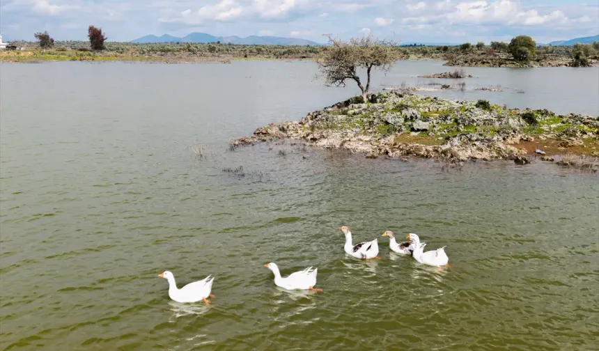 Hatay'ın Haydarlar Gölü Yeniden Doldu