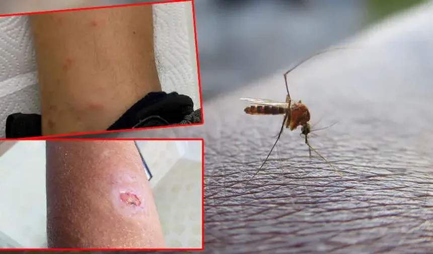 Hataylının Kabusu Başlıyor: Acil Çalışma Başlatılmalı!