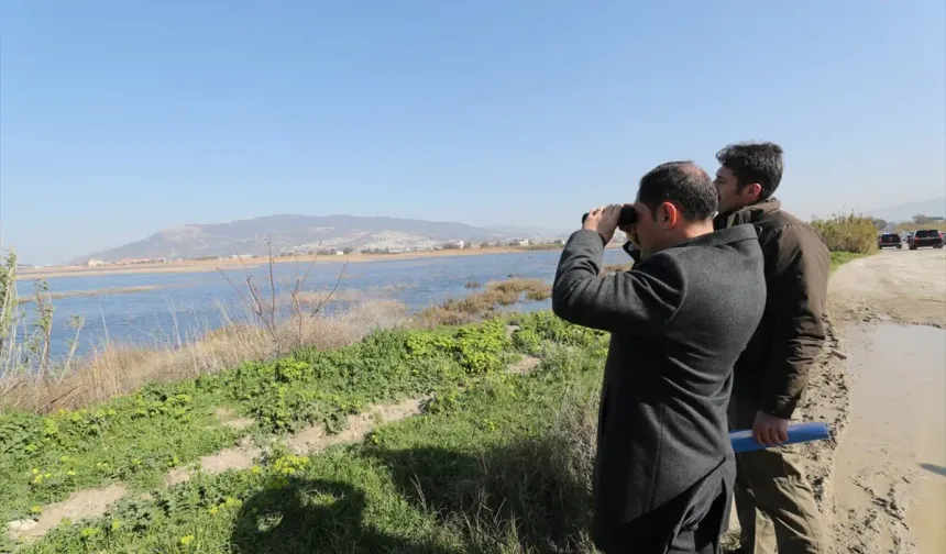 Hatay Valisi Mustafa Masatlı Milleyha Sulak Alanı'nı inceledi
