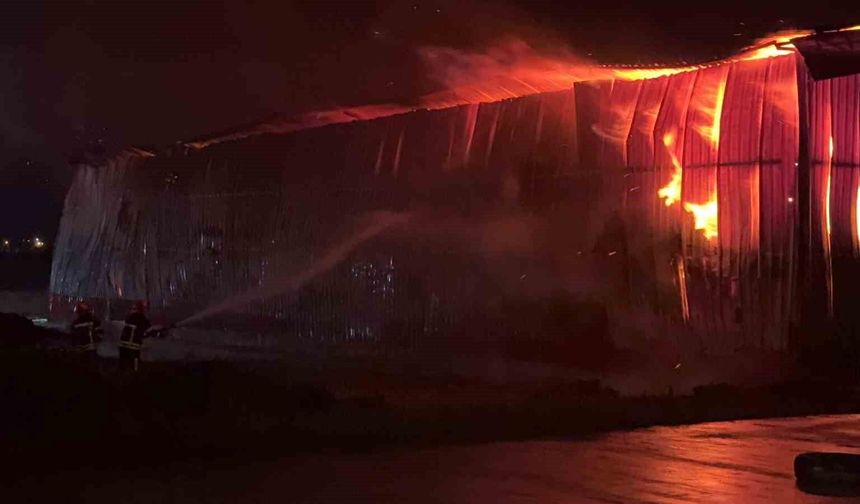 Osmaniye'de karton fabrikasında yangın