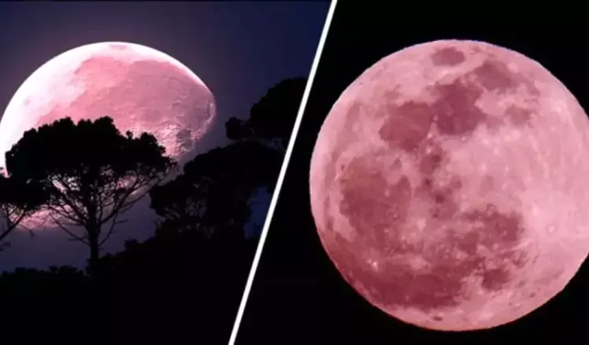 Hatay Semalarında “Pembe Ay” Görülecek !