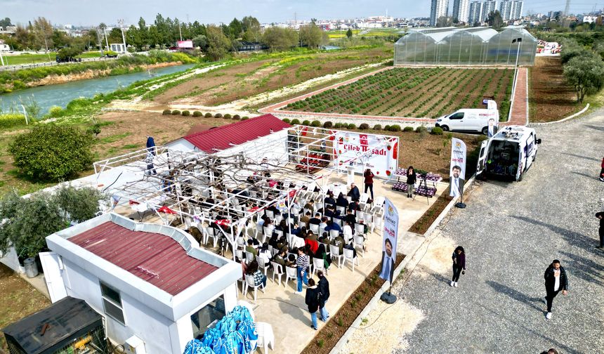 Tarsus ilçesinde topraksız tarım yöntemiyle yetiştirilen çilekler hasat edildi