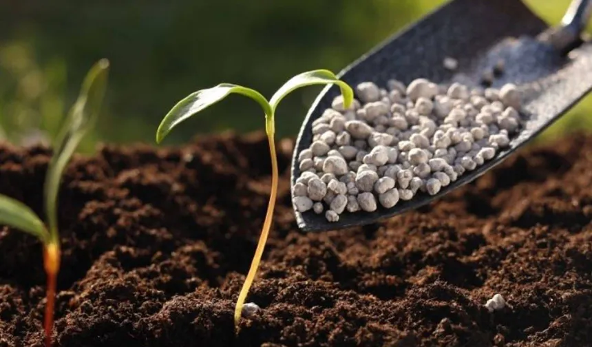 Gübrede Kritik Karar: Üre İthalatında Gümrük Vergisi Sıfırlandı