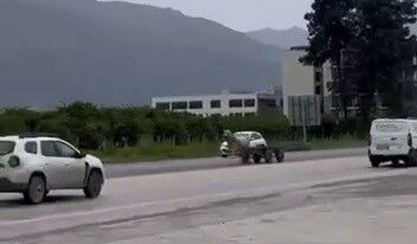 Hatay'da Kaçak At E-5’te Yarışırcasına İlerledi