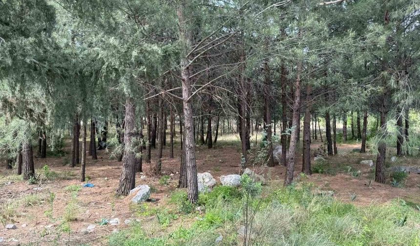 İskenderun’da Dehşet: Akrabalar Katletti, Altınları Sattı