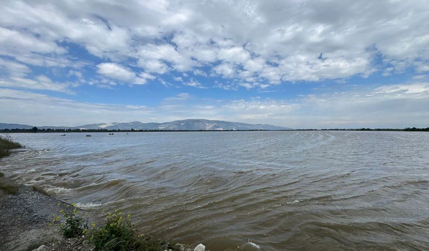 Aydın'da Büyük Menderes Nehri'nin taşması sonucu tarım arazileri sular altında kaldı