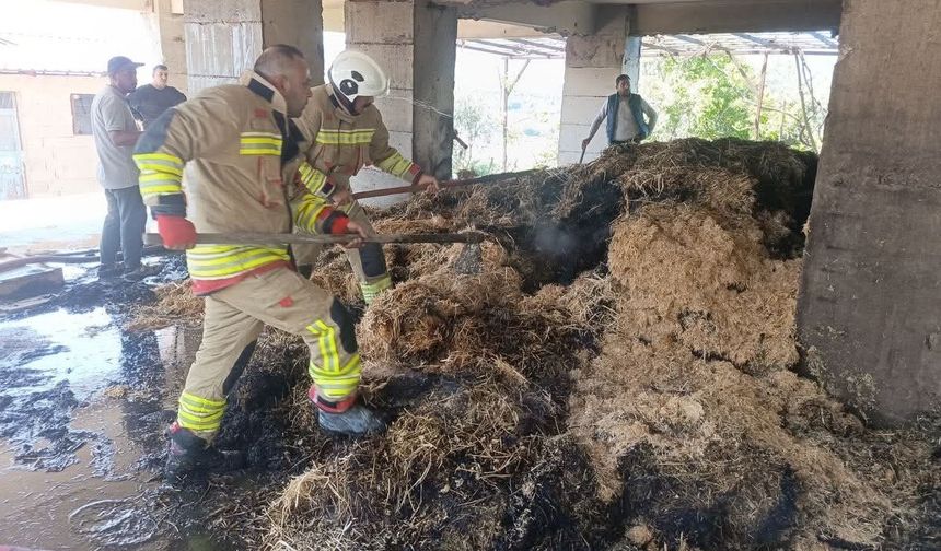 Defne'de samanlık yangını