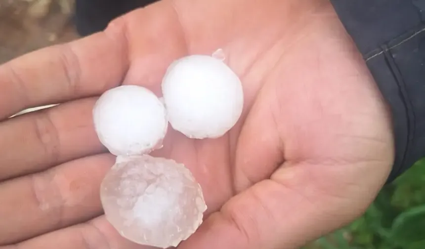 Hatay'da Dolu Felaketi Tarım Arazilerini Vurdu: Çiftçiler Çağrı Yapıyor!