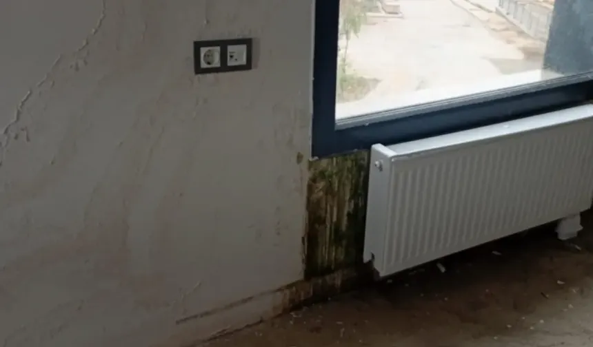 Hatay'da TOKİ Konutlarında Skandal Görüntü: Küflü, Yosun Tutmuş Odalar!