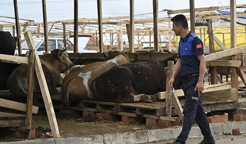 Kurban Bayramı Kuralları Açıklandı: İşte Kesilecek Ceza Tutarları!