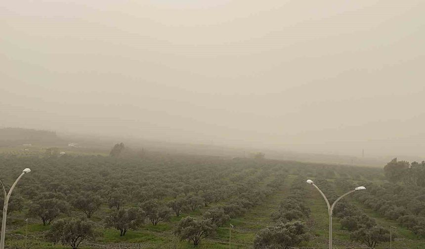 Libya kaynaklı toz taşınımı Osmaniye'de etkili oldu